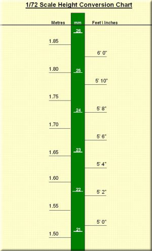 1.72 cm in feet