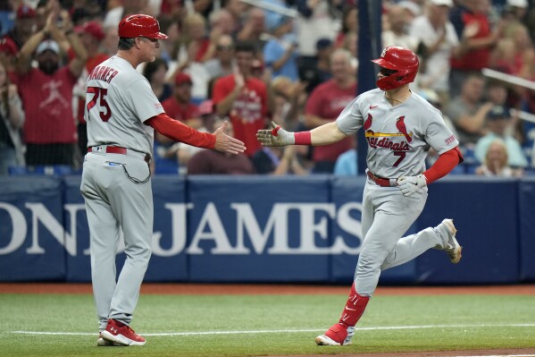 st. louis cardinals vs tampa bay rays match player stats