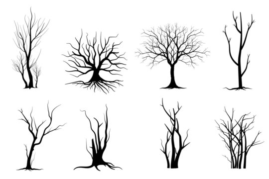 dry tree drawing