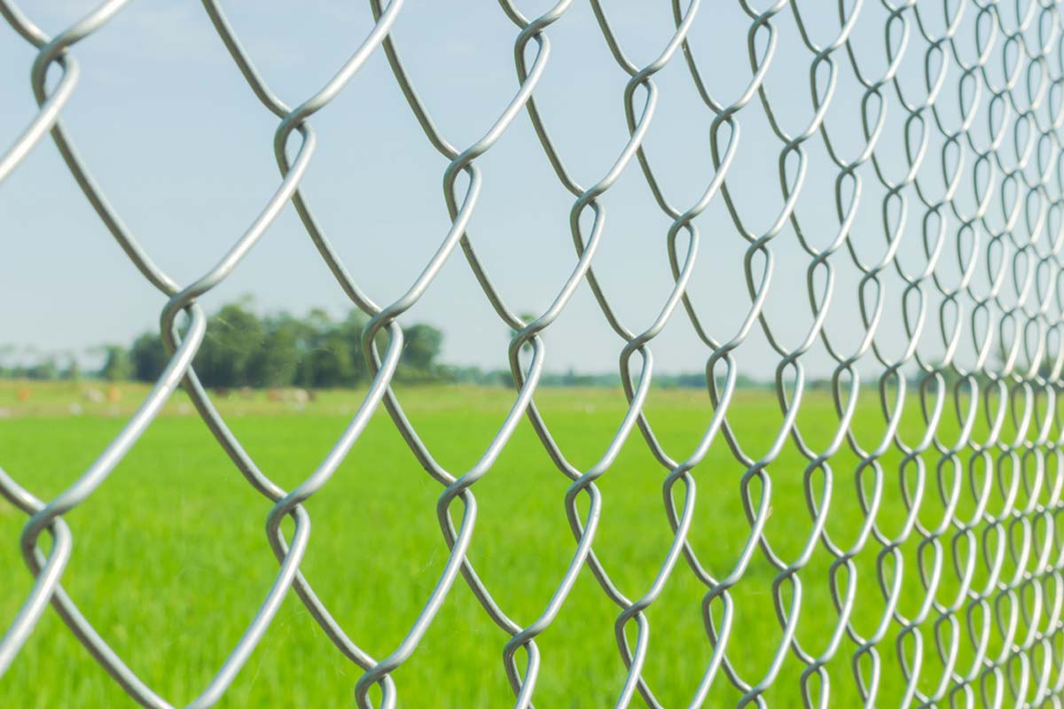 hurricane fence cost