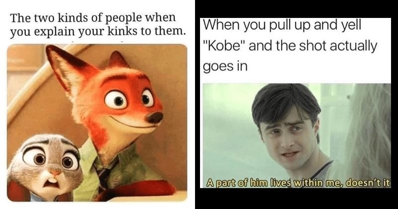 zootopia meme