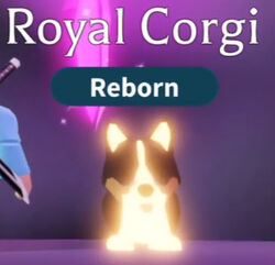 royal corgi adopt me