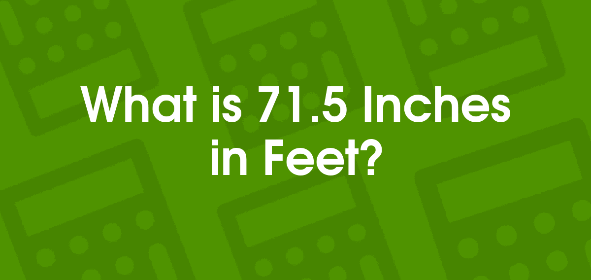 71.5 inches in feet