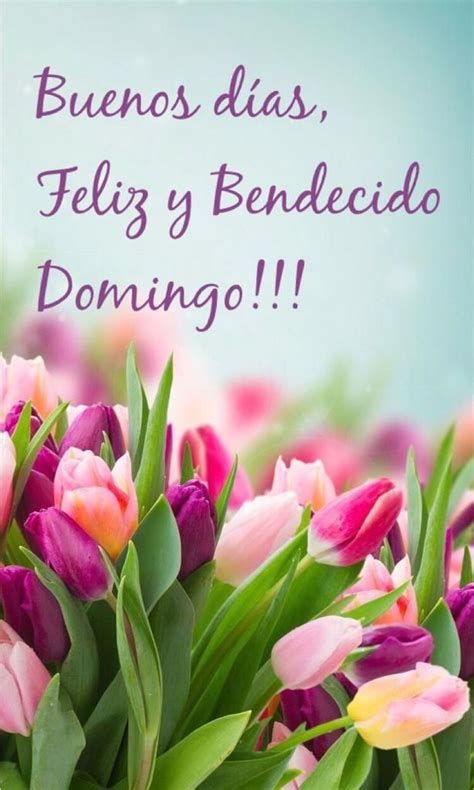 buenos dias bendecido domingo