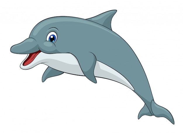 dolphin cartoon pic