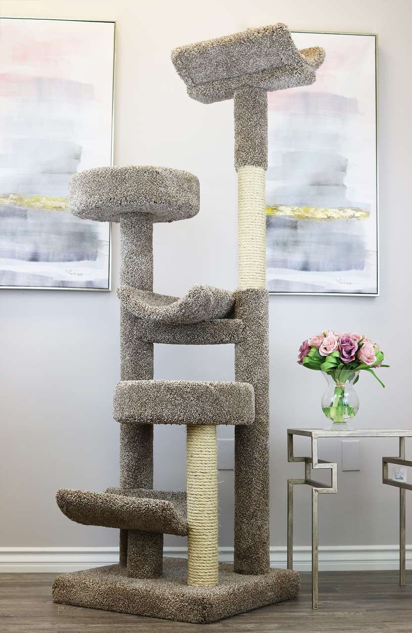 cat condo for large cats