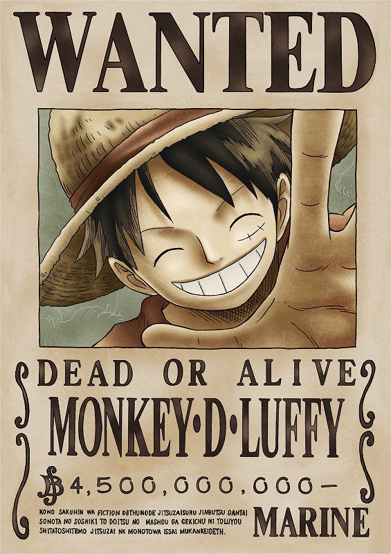 bounty of luffy