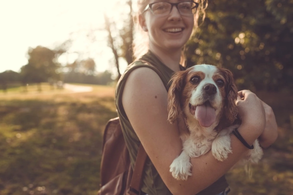 rentals near me pet friendly