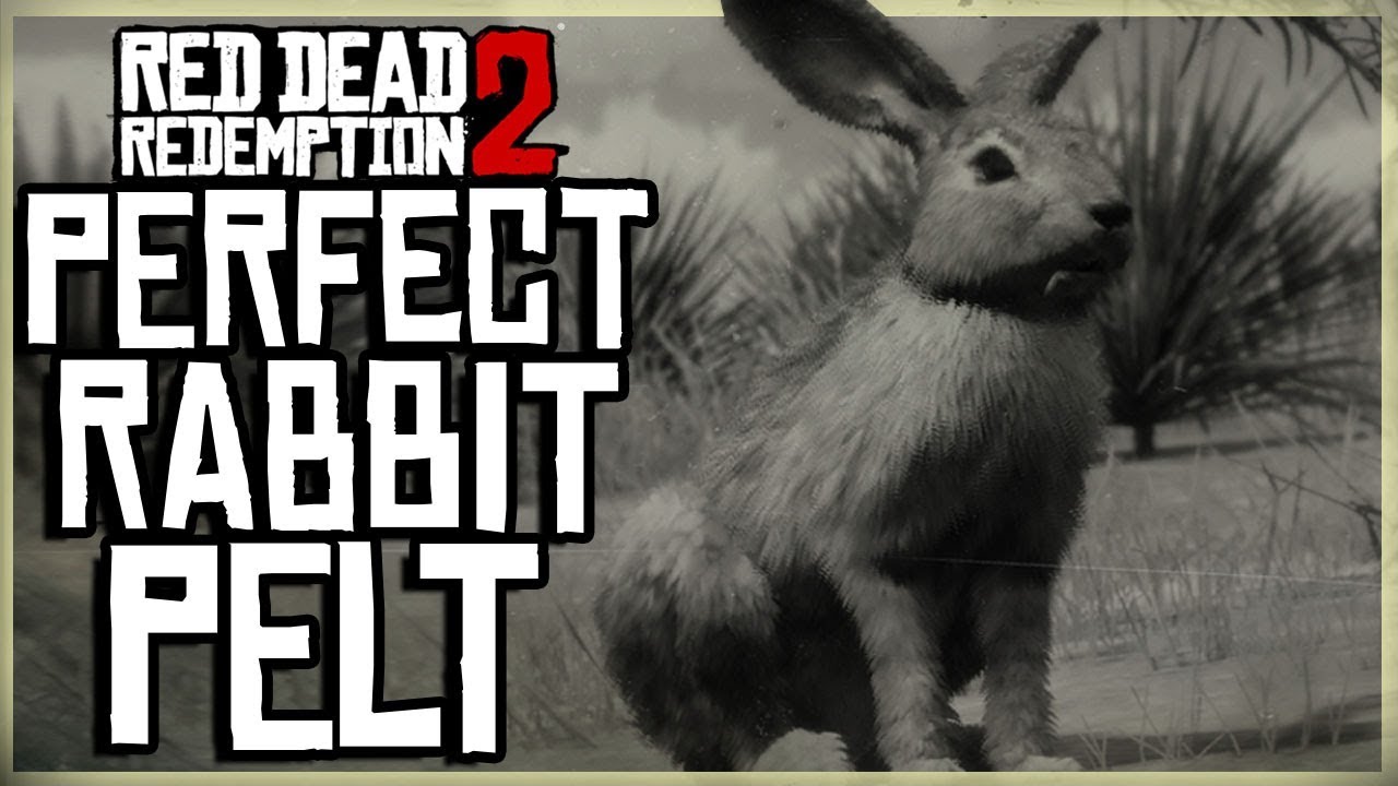 rabbit rdr2