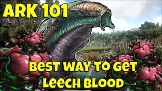 leech blood uses ark