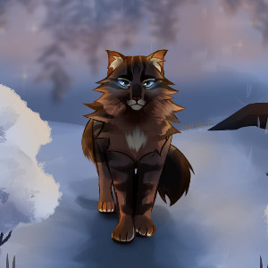 warrior cats