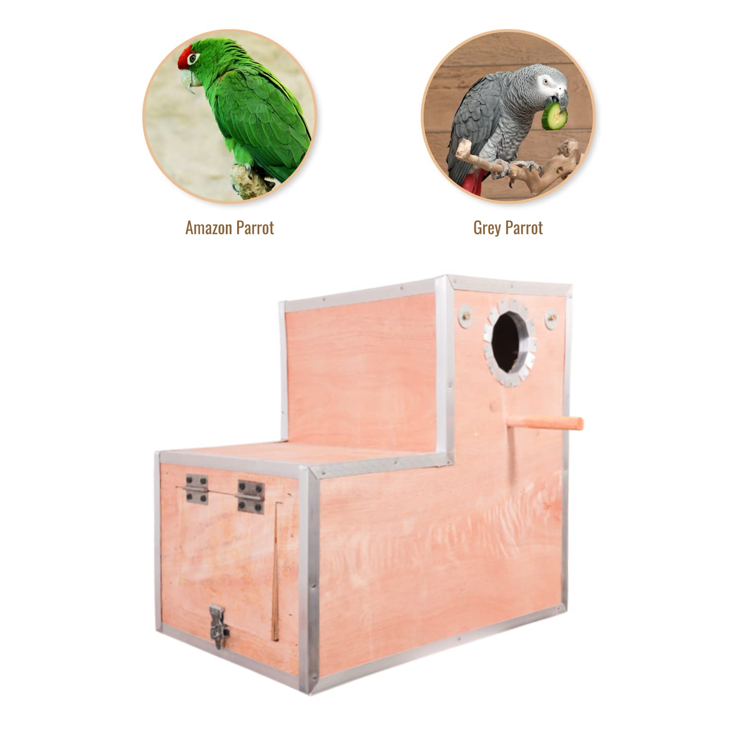 amazon breeding box