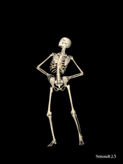 skeleton funny gif
