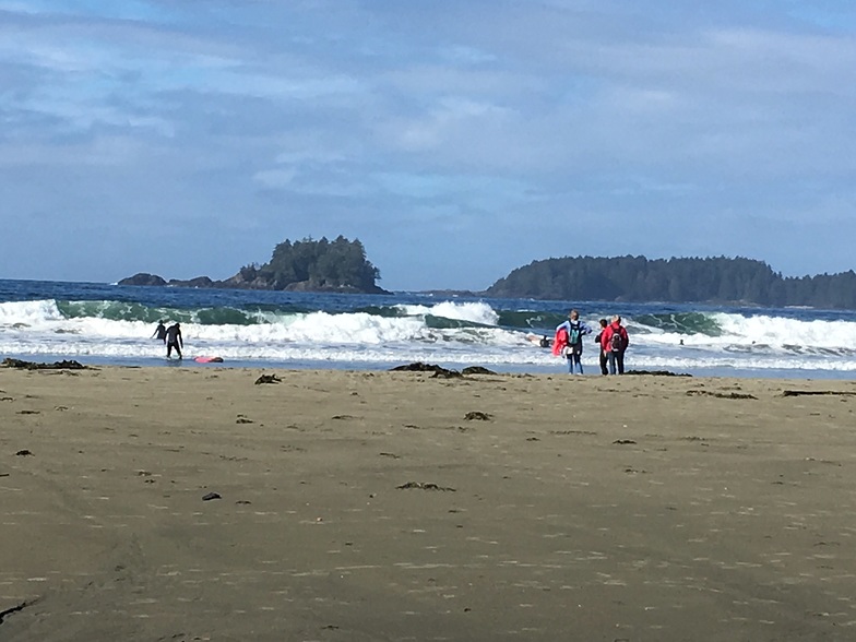 wave forecast tofino