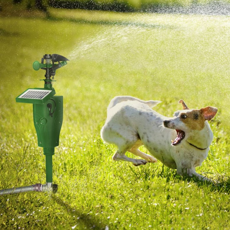 motion activated lawn sprinkler