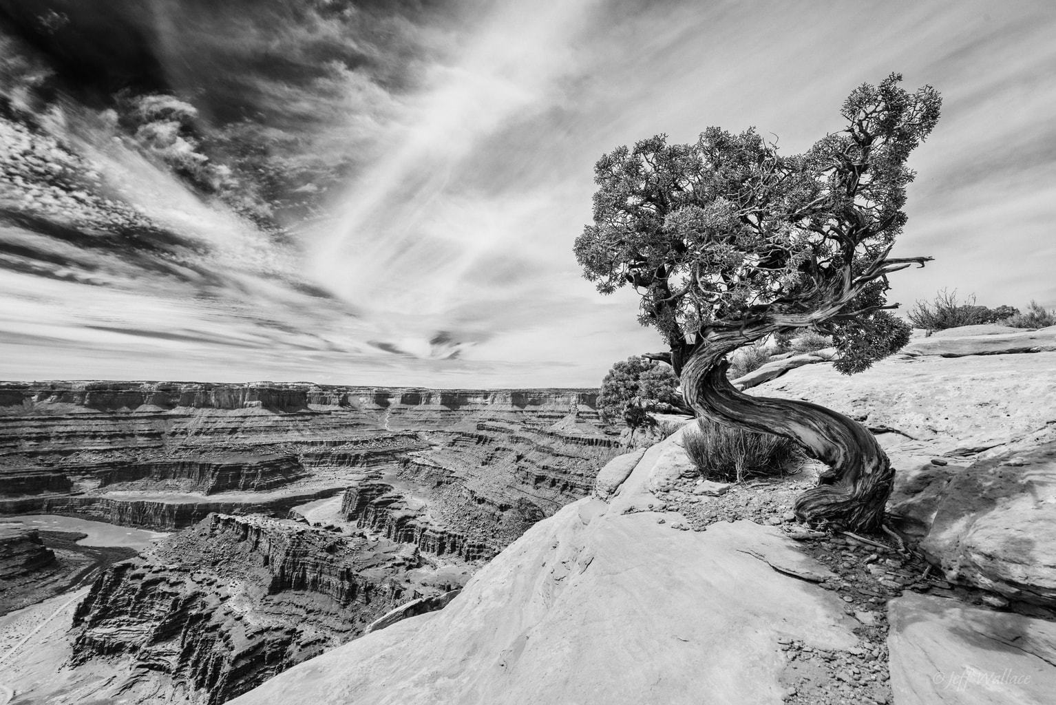 paisajes dibujos blanco y negro