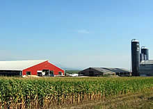 dairy farms for sale