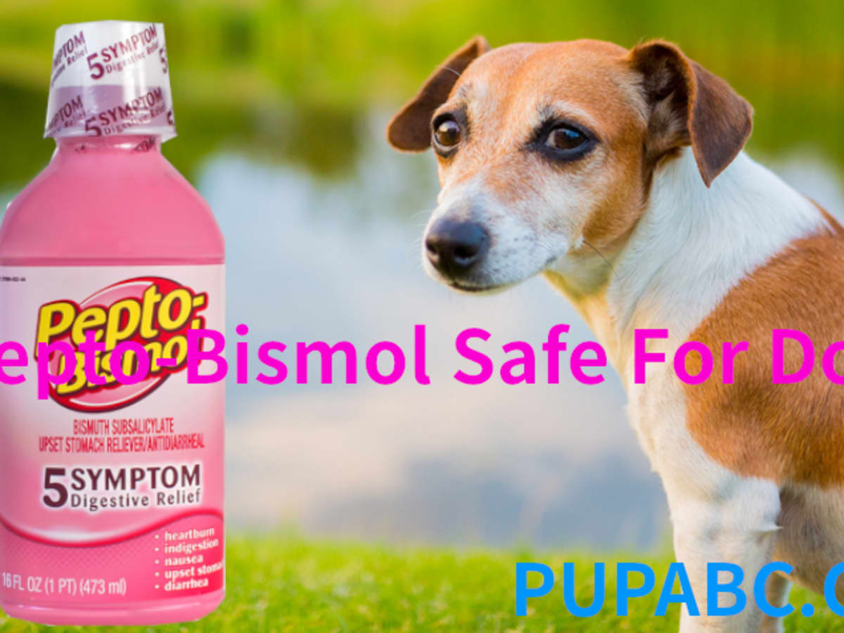 can dogs have pepto bismol