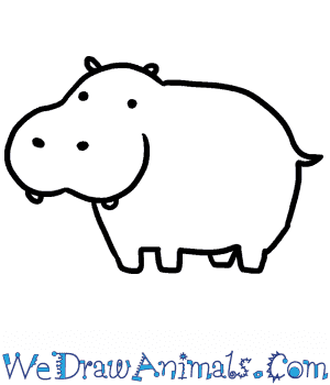 hippo drawings easy