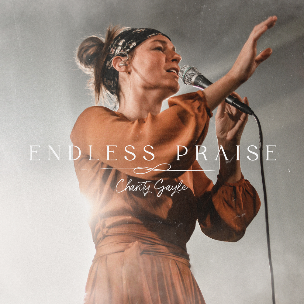 endless praise lyrics charity