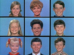 the brady bunch tv series