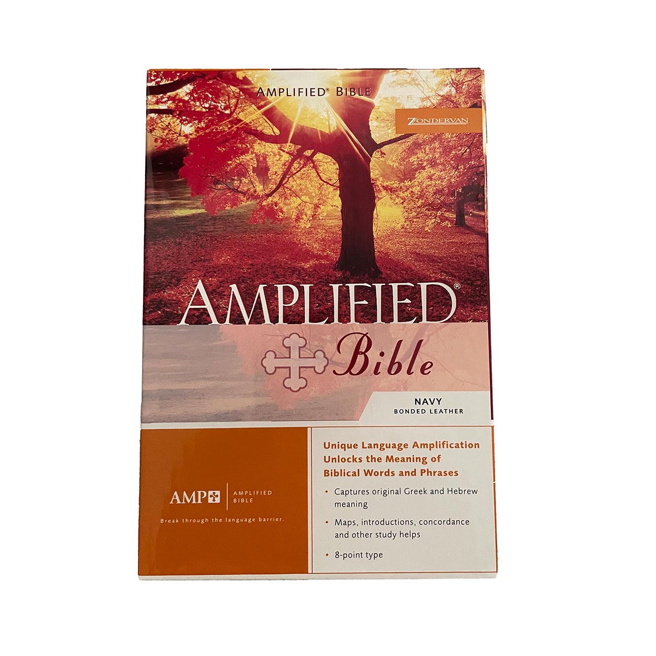 amplified bible