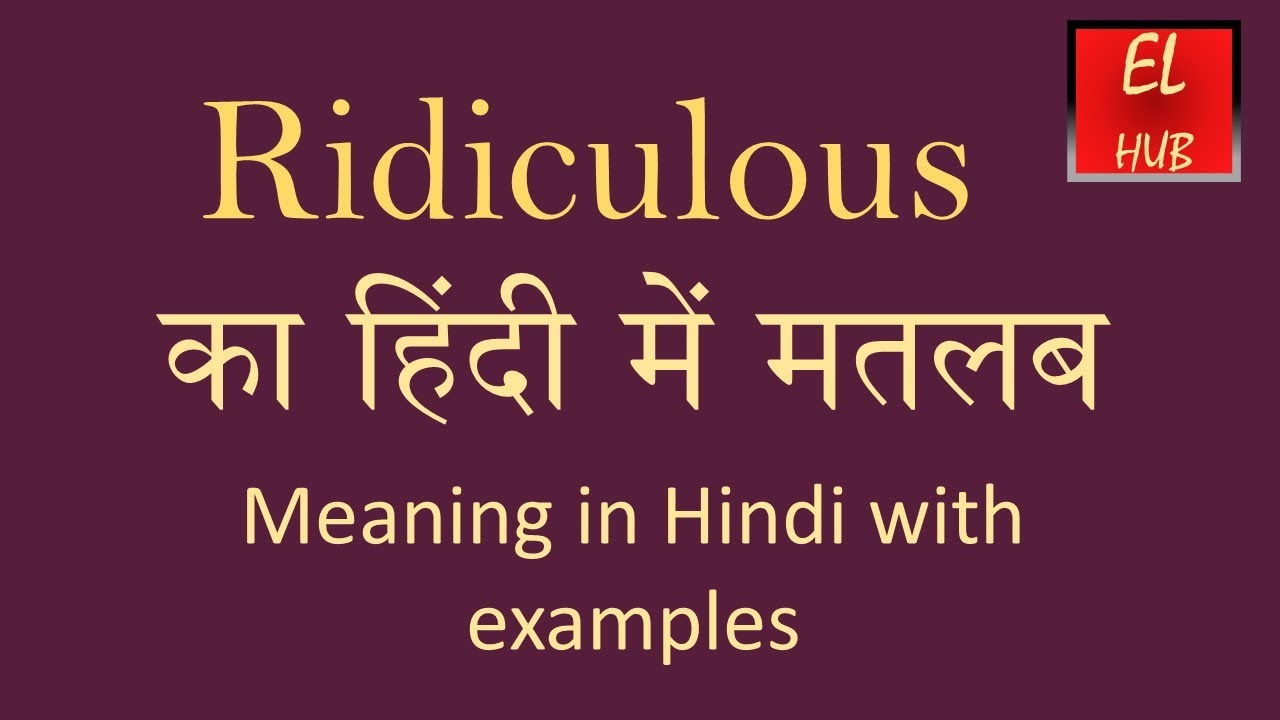 you are ridiculous meaning in hindi