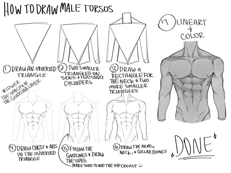 how to draw masculine body