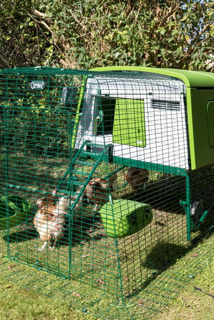 eglu cube chicken coop