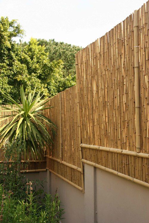 rolled bamboo fencing