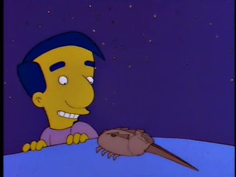 milhouse without glasses