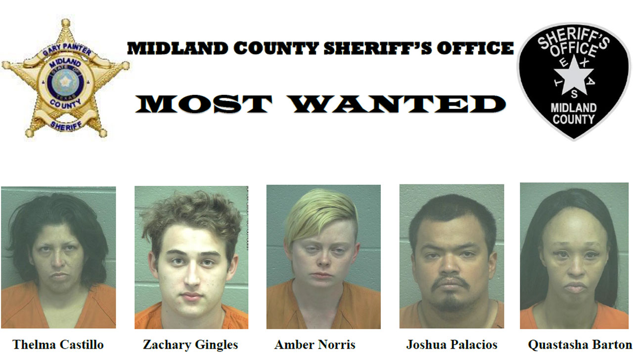 midland county mugshots