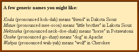 native indian dog names