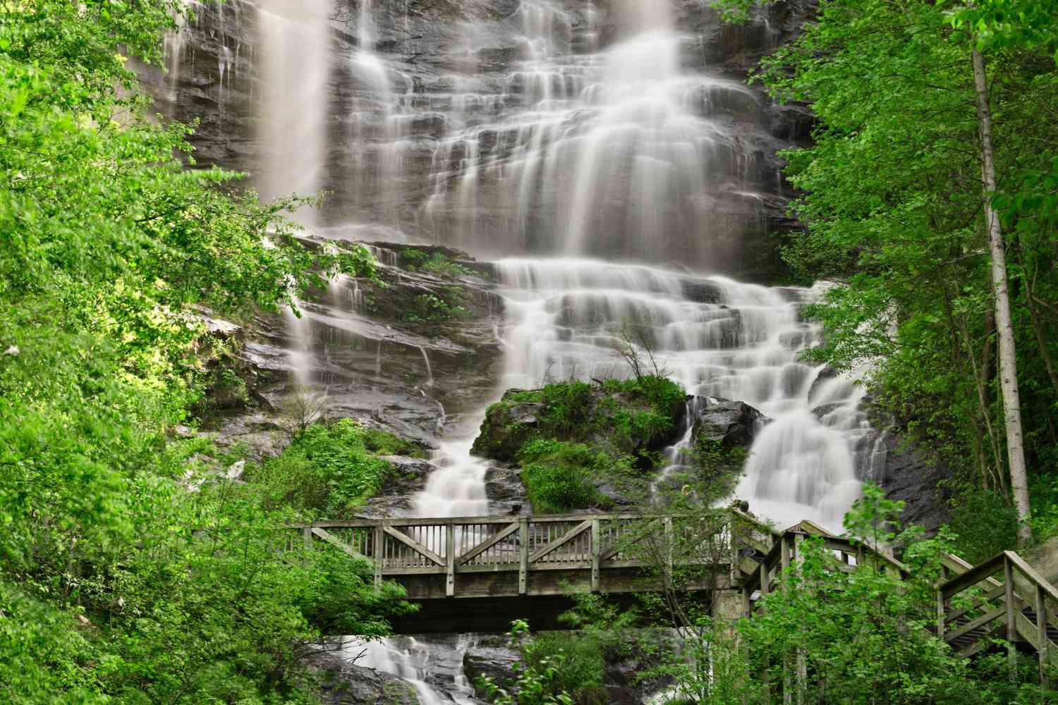 oconee national forest