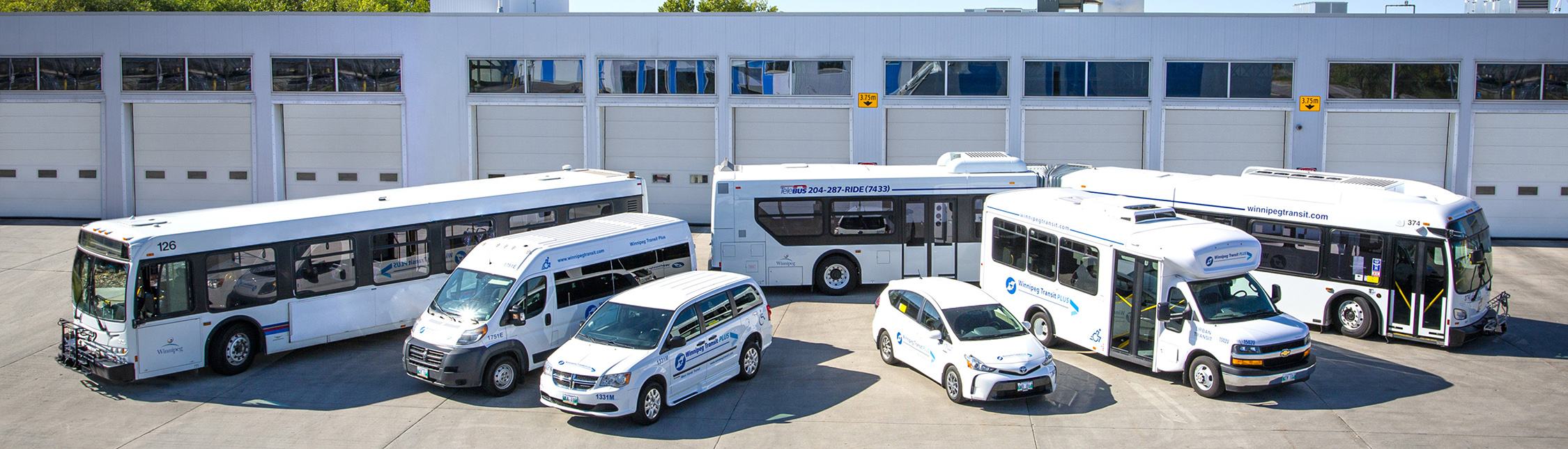 winnipeg transit navigo