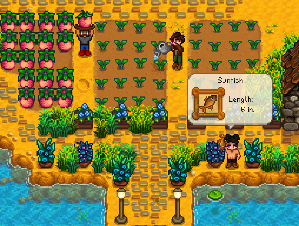 stardew valley coop