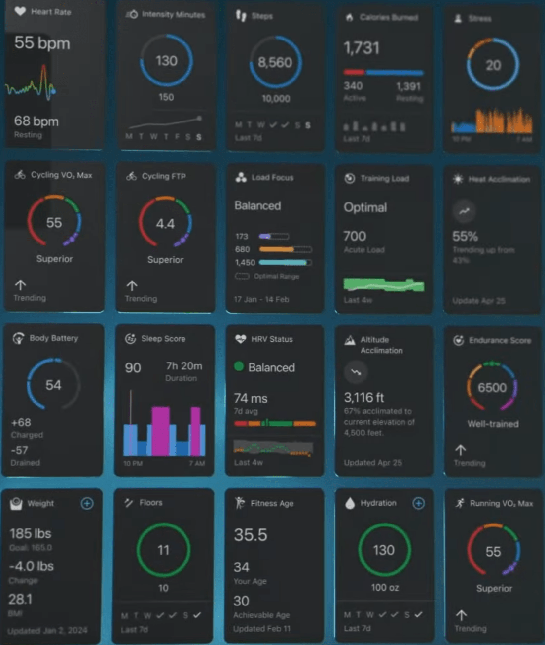 garmin connec