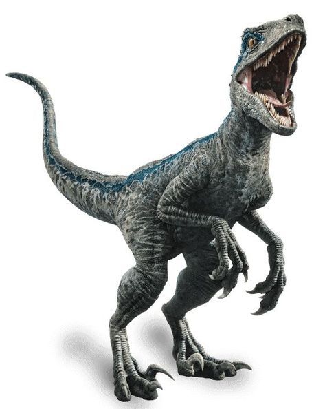 velociraptor blue