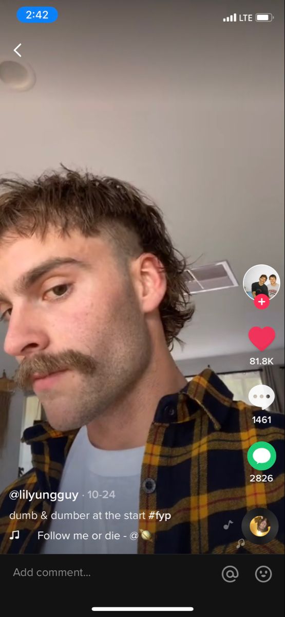 mullet and mustache