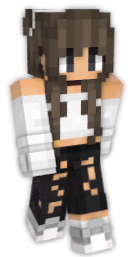 minecraft lady skin