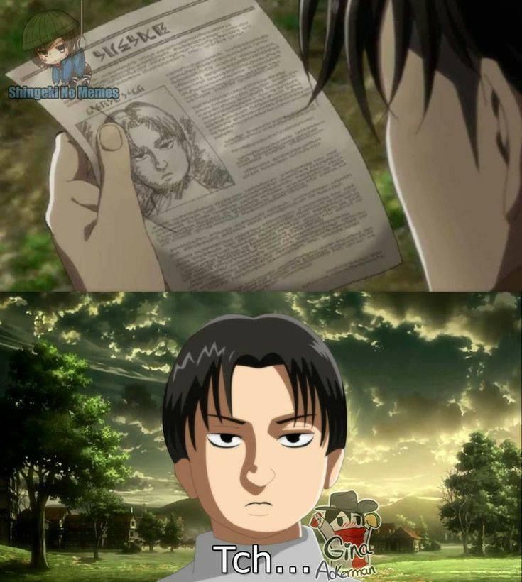 captain levi meme