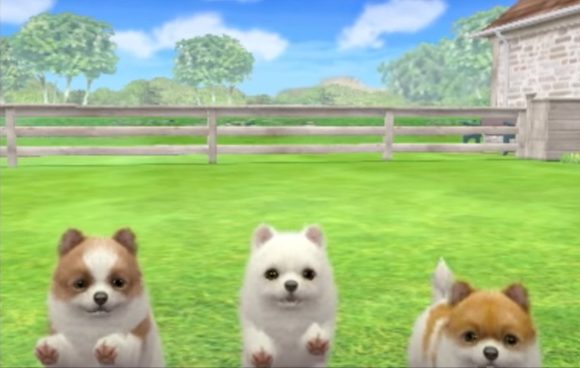 nintendogs