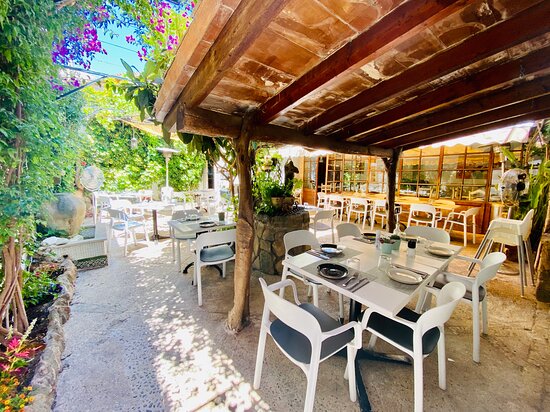 restaurants port de pollenca