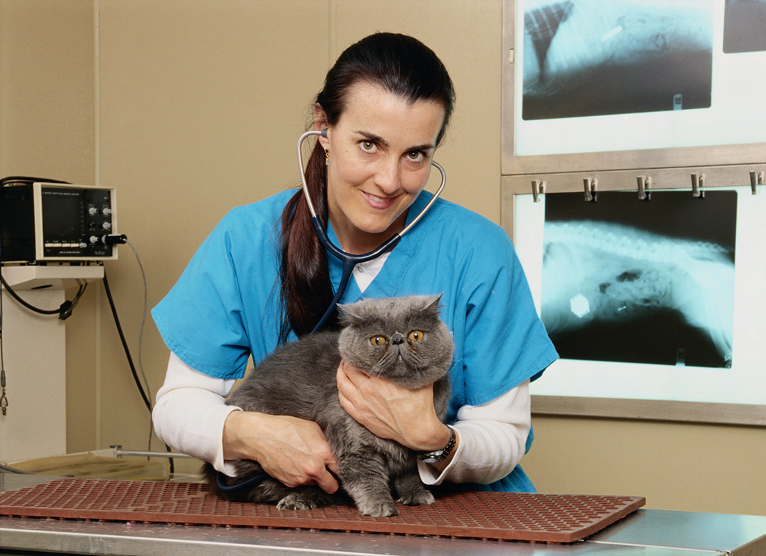 veterinary jobs calgary
