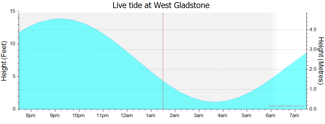 gladstone tide tables