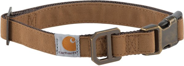 dog collars chewy