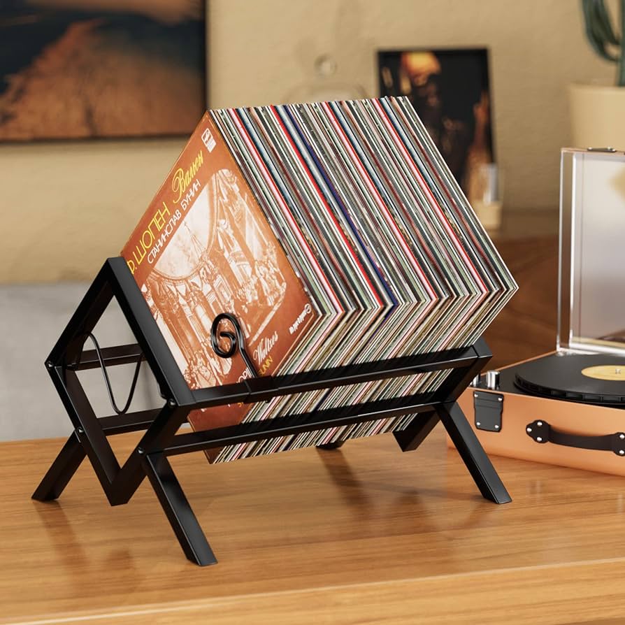 vinyl record storage holder