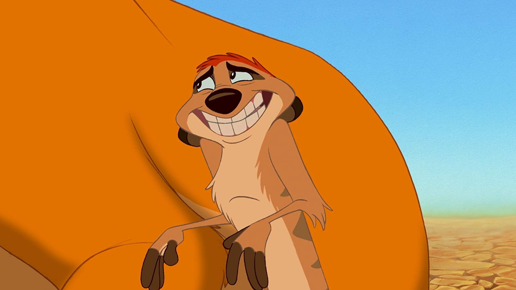 timon from lion king