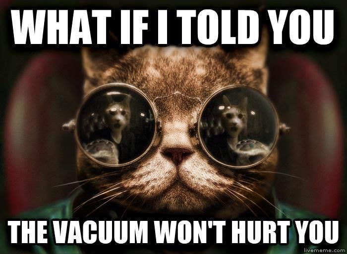 morpheus cat meme