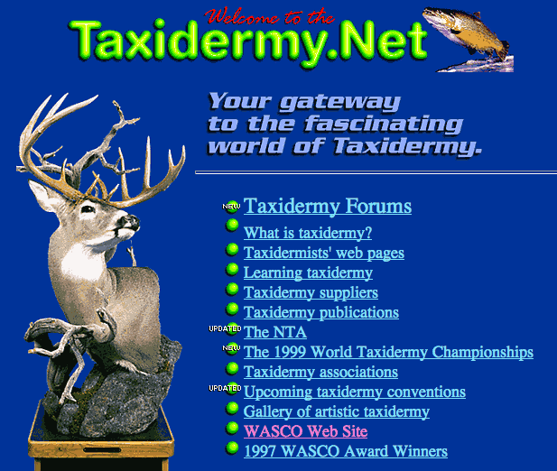 taxidermy net